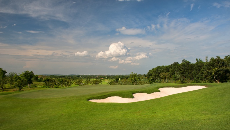 #10 green Sky_DSC2622.jpg