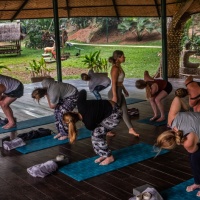 Group Join-in Yoga class