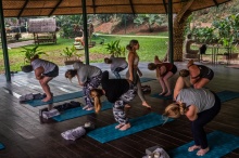 Group Join-in Yoga class