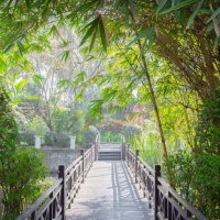 Exterior & Garden (15)