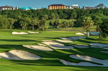 Amata Spring H16 17088428