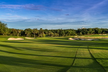 Amata Spring H16 17088843