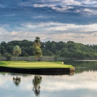 Amata Spring H17 17088376