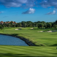 Amata Spring H09 17088415