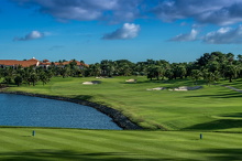 Amata Spring H09 17088415