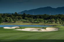 Amata Spring H11 17088468