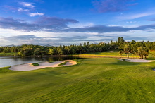 Amata Spring H12 17088841