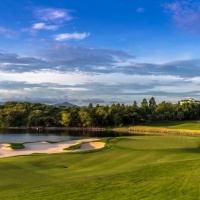 Amata Spring H12 17088842