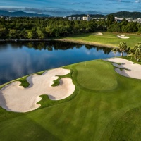 Amata Spring H12 17089182