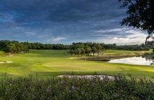 Amata Spring H14 17088443