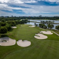 Amata Spring H07 17088520