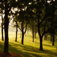 Glenmarie Golf &amp; Country Club - Valley 9