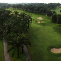 11 - Palm Course
