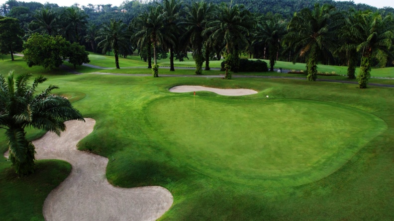12 - Palm Course.jpg