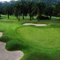 12 - Palm Course