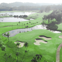 1647931382757 (556 visits) 1647931382757