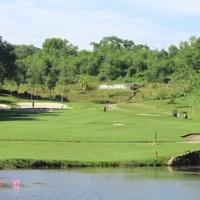 1661138034120 (796 visits) 1661138034120