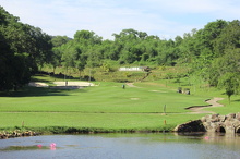 1661138034120 (796 visits) 1661138034120