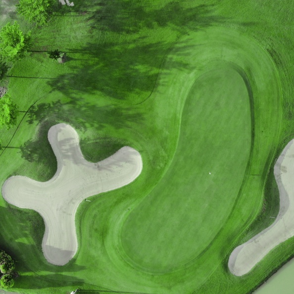 1661138034132 (813 visits) 1661138034132