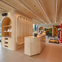 The Standard Gym - Main Gym Room