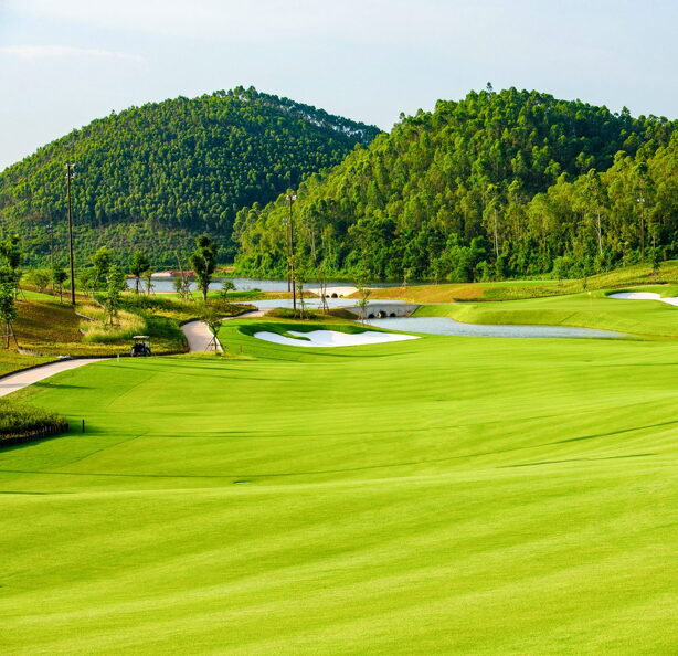 Van Lang Empire T&T Golf Club-Green.jpg