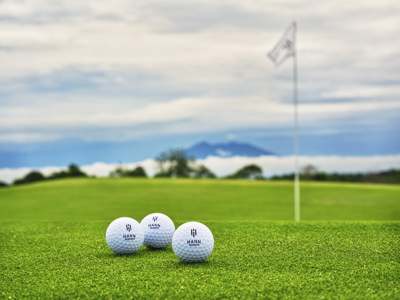 DSF4996b (108 visits) DSF4996b