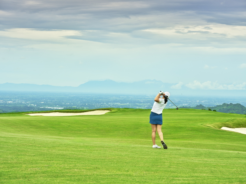 DSF5071ps (111 visits) DSF5071ps