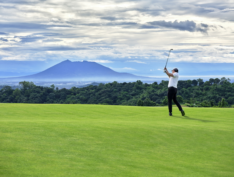 DSF5357ps (99 visits) DSF5357ps