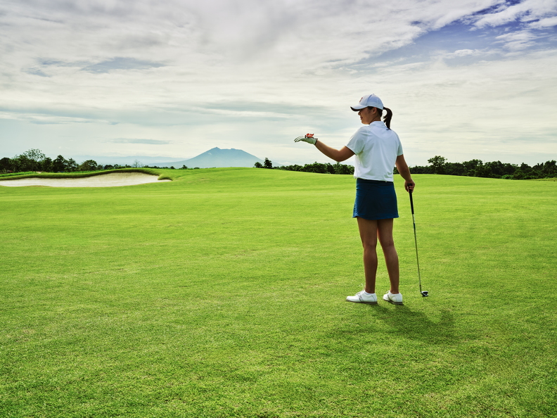 DSF5513ps (102 visits) DSF5513ps