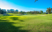 background-trang-chu-1-compressed