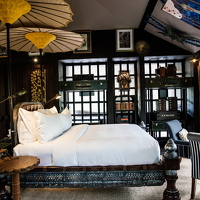 Copy of Wild_NLee-24.jpg