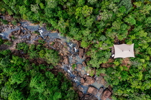 Copy of Wild-Drone-NLee-32