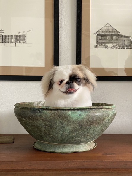 Pet Friendly Pet Friendly