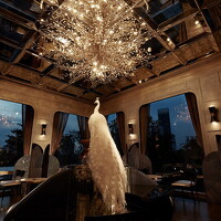 Capella Bangkok - Stella 02