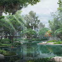 Forest Pool