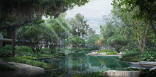 Forest Pool
