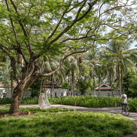 NMH 621