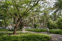 NMH 621