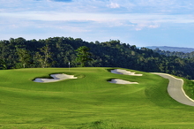 Green #11 (1)