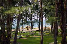 dusit-thani-laguna-phuket-garden-beach-front